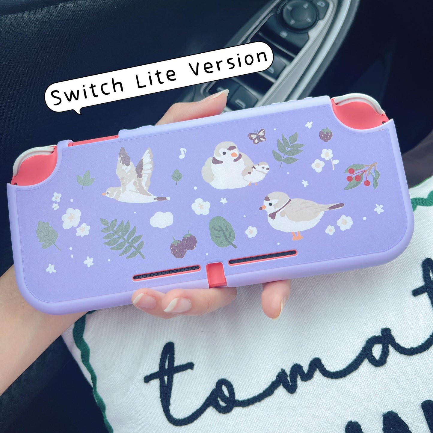 Piping Plover Bird Case for Nintendo Switch 2, Switch, Switch OLED and Lite