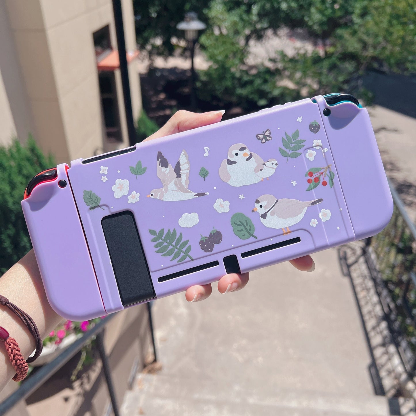 Piping Plover Bird Case for Nintendo Switch 2, Switch, Switch OLED and Lite