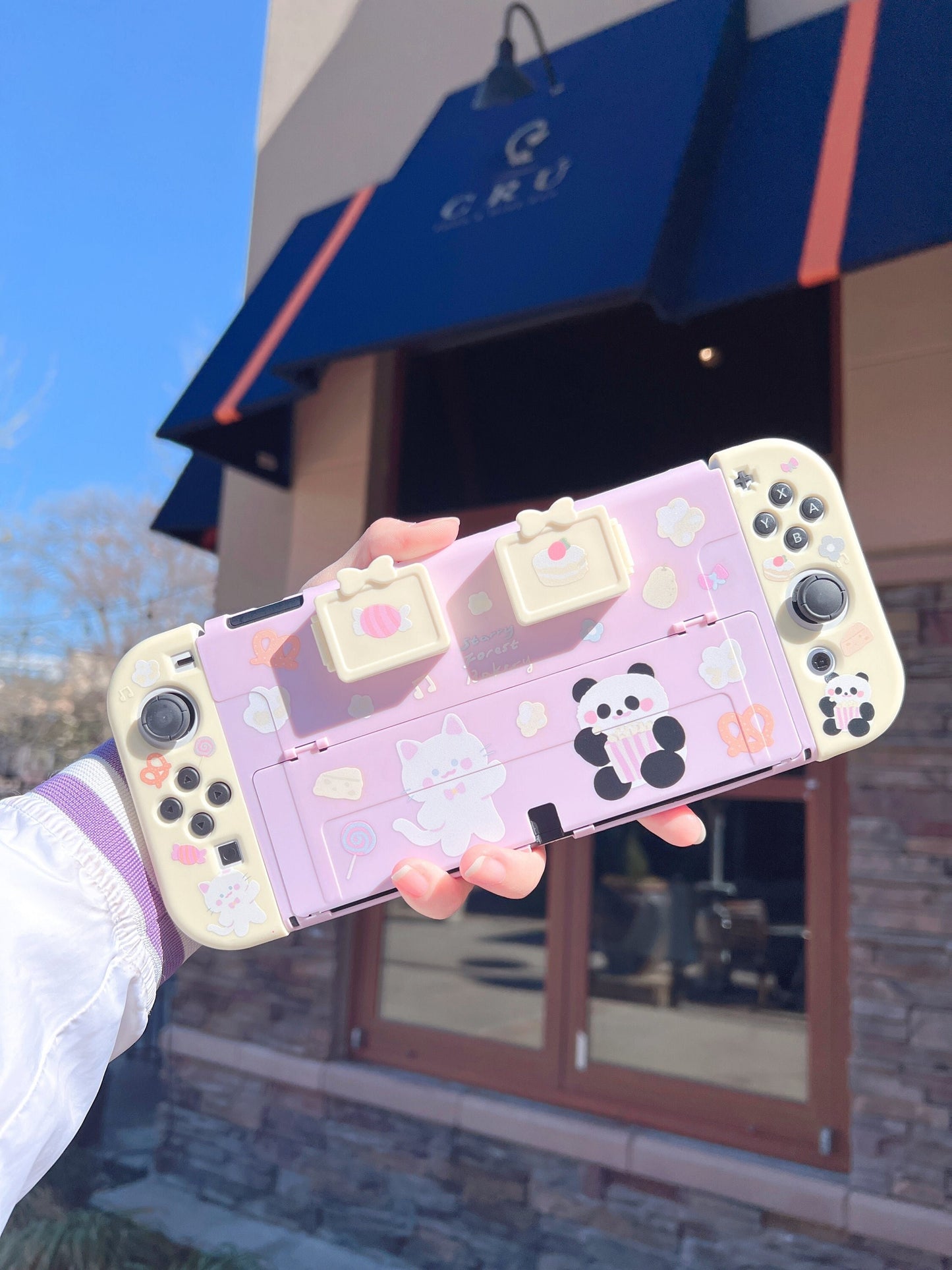 Cat panda cute Switch Oled case with game card storage boxes