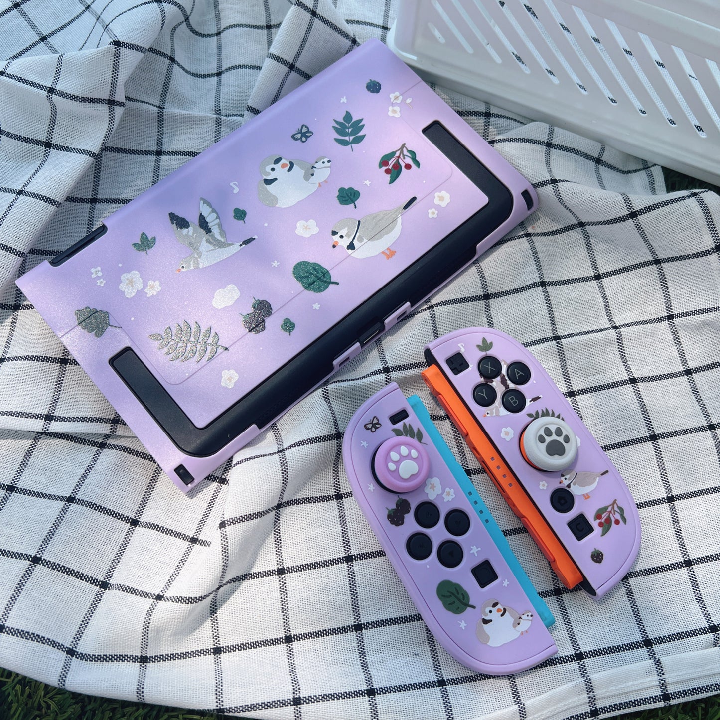 Piping Plover Bird Case for Nintendo Switch 2, Switch, Switch OLED and Lite