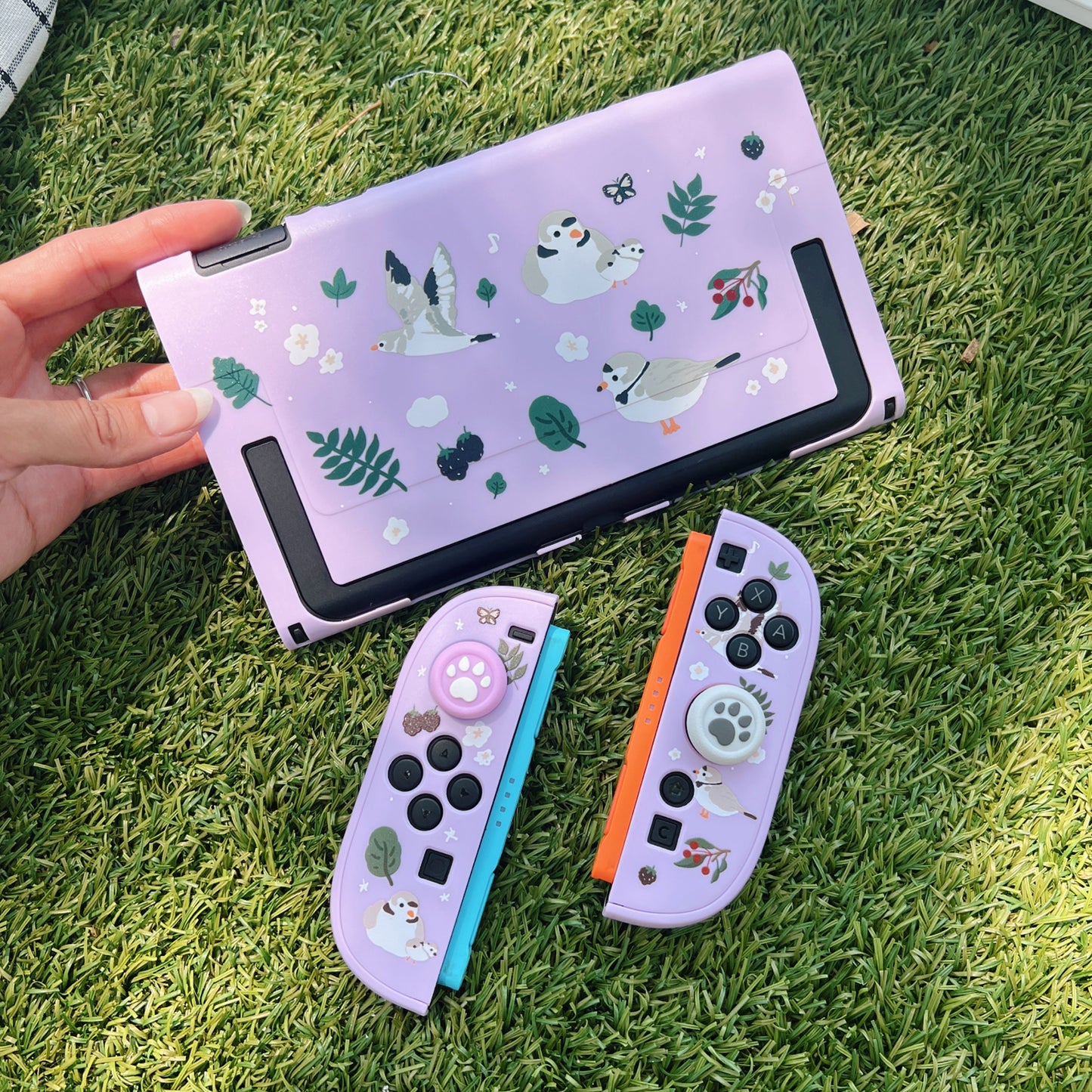 Piping Plover Bird Case for Nintendo Switch 2, Switch, Switch OLED and Lite