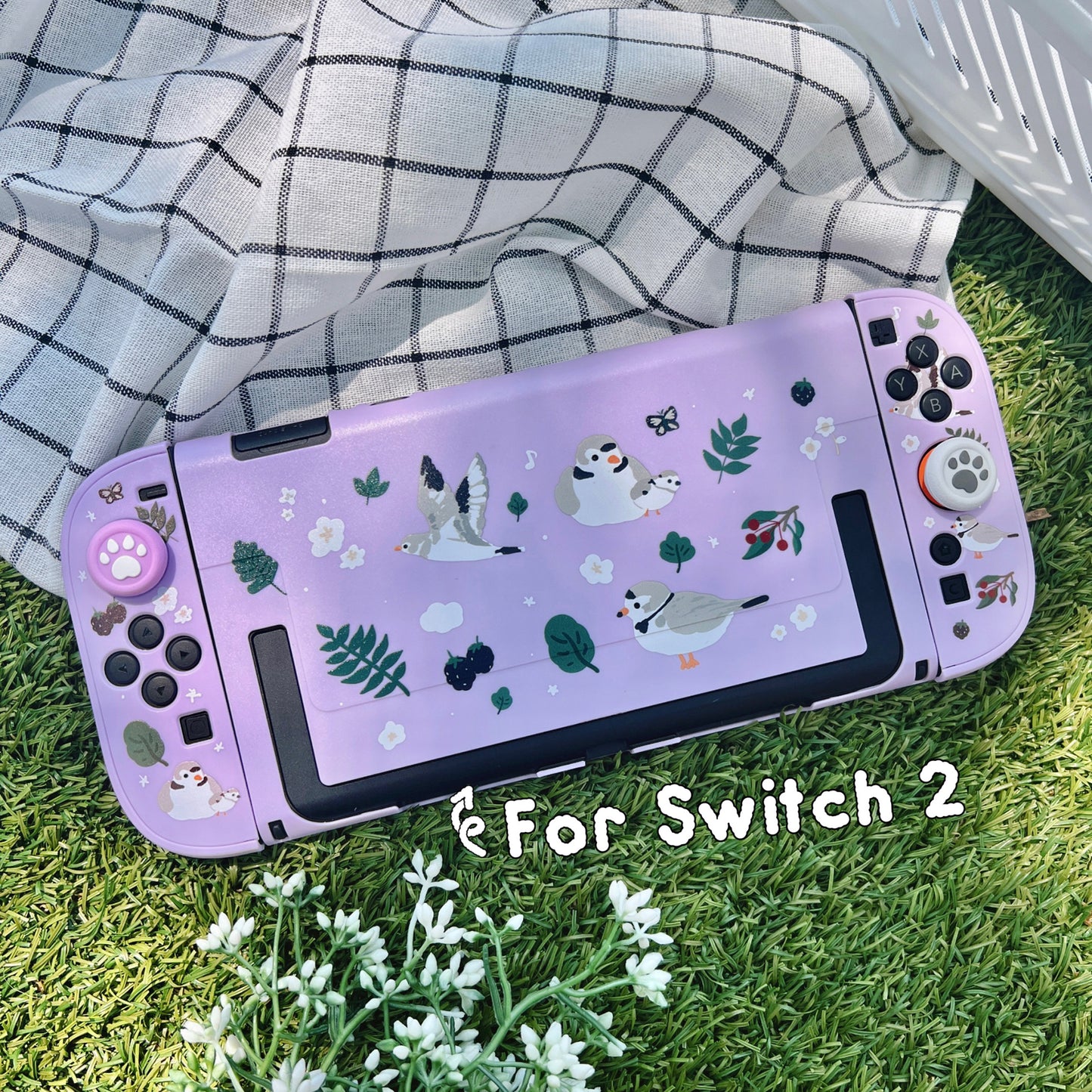 Piping Plover Bird Case for Nintendo Switch 2, Switch, Switch OLED and Lite