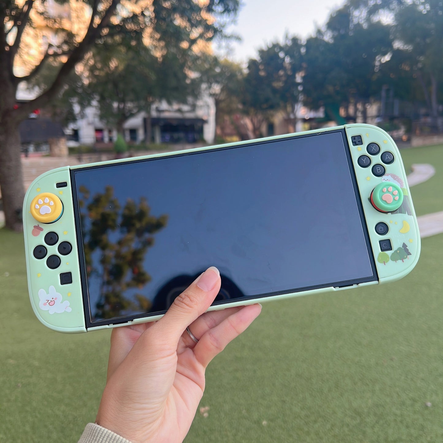 Hedgehog and Squirrel Case for Nintendo Switch 2, Switch, Switch OLED and Lite