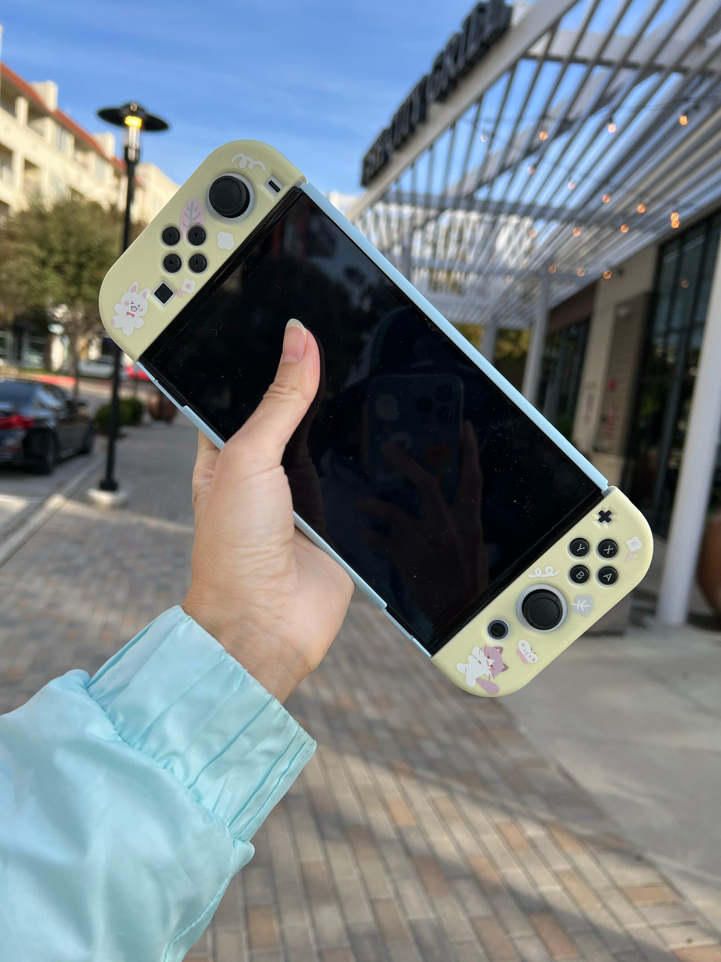 Cat panda cute Switch Oled case with game card storage boxes