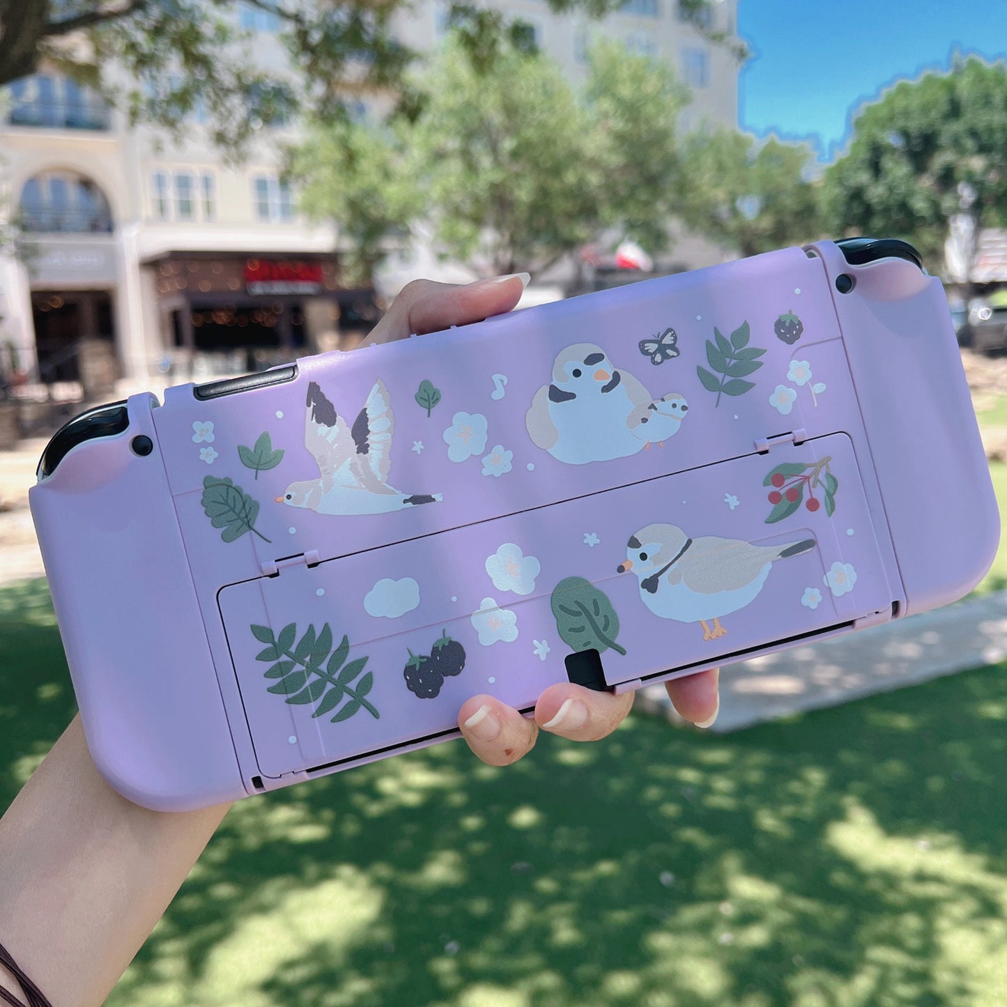 Piping Plover Bird Case for Nintendo Switch 2, Switch, Switch OLED and Lite