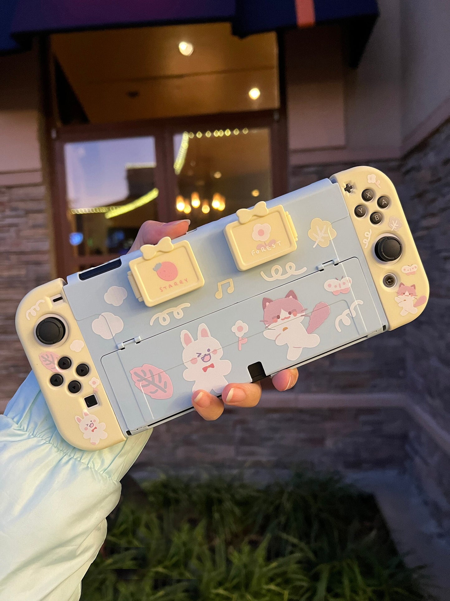 Cat panda cute Switch Oled case with game card storage boxes
