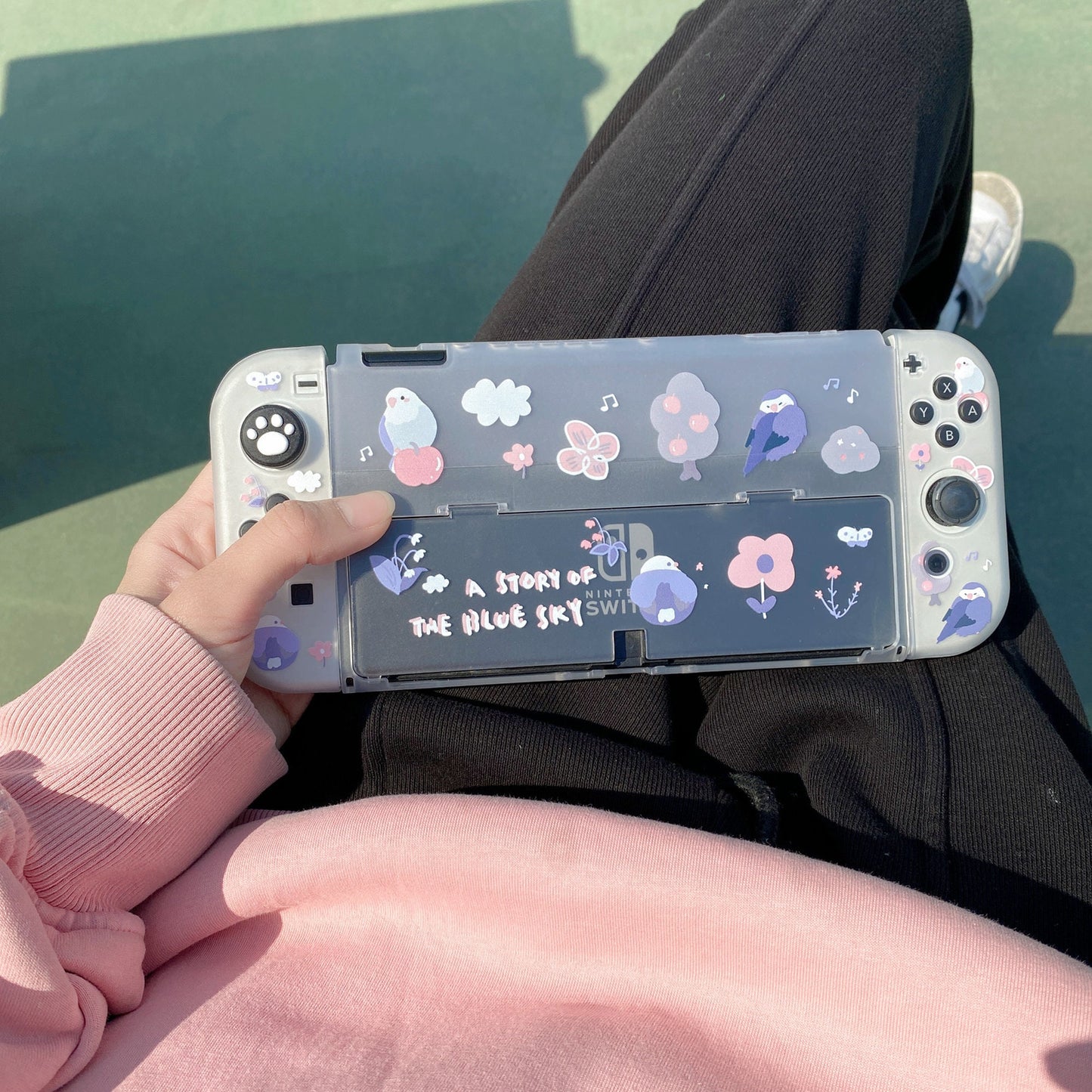 Birds Case for Nintendo Switch 2, Switch and Switch Oled