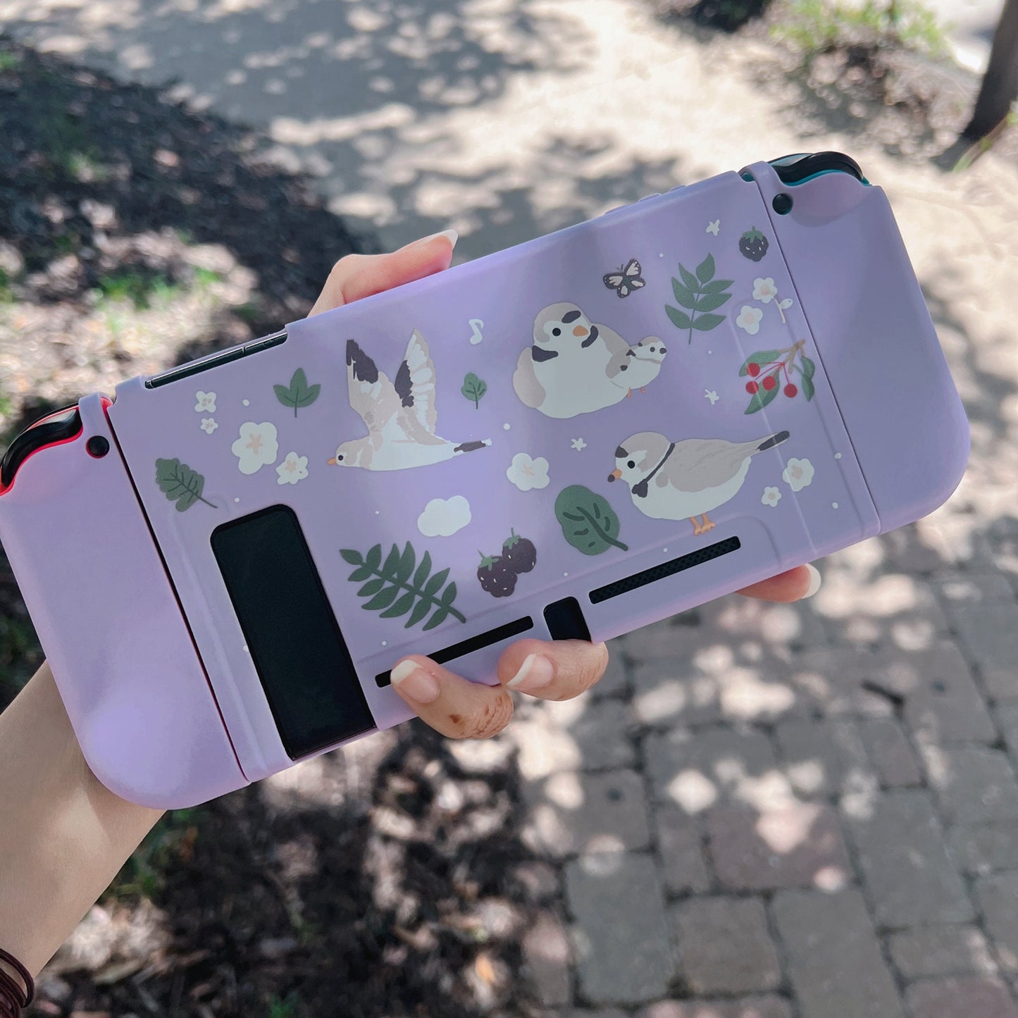 Piping Plover Bird Case for Nintendo Switch 2, Switch, Switch OLED and Lite