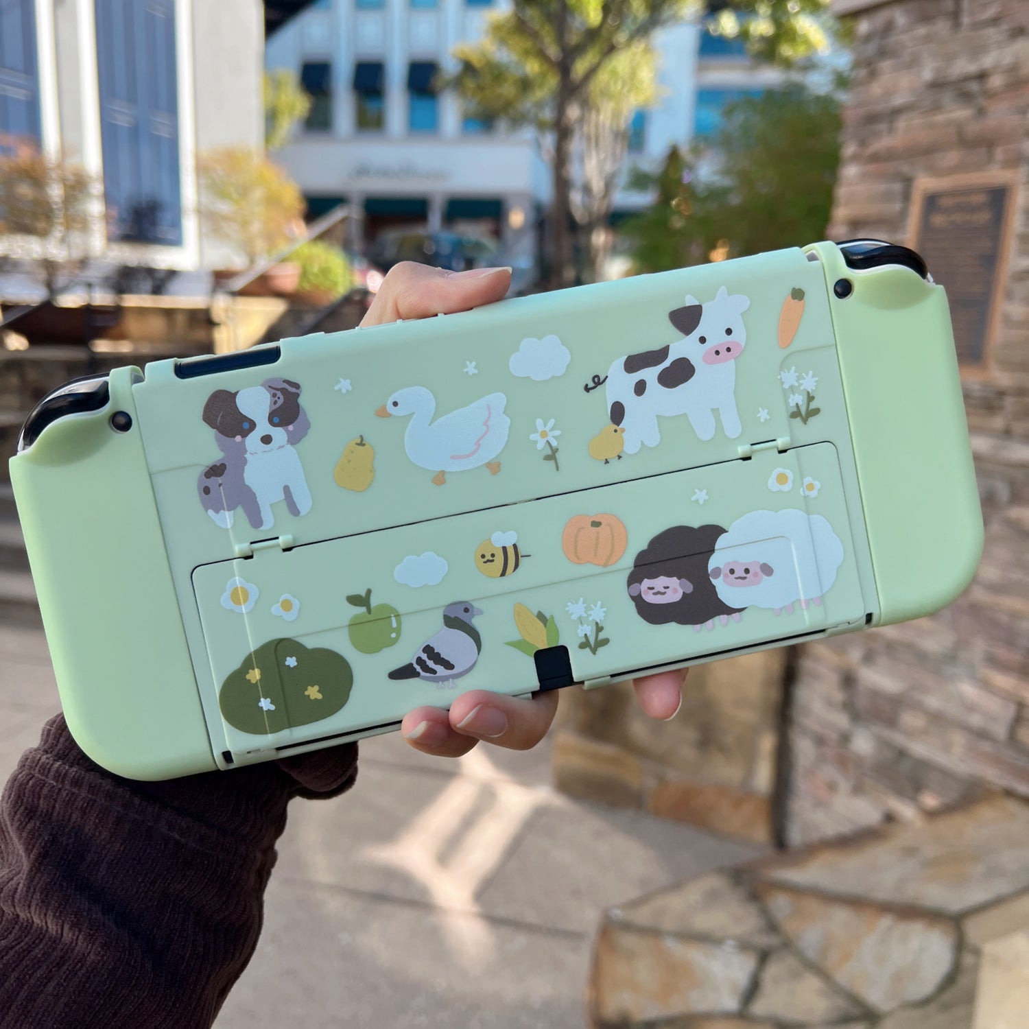 Switch OLED cases