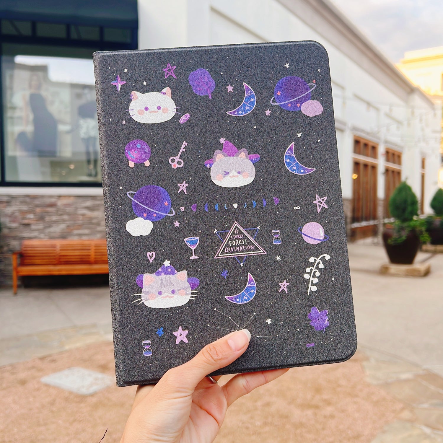 iPad Cases