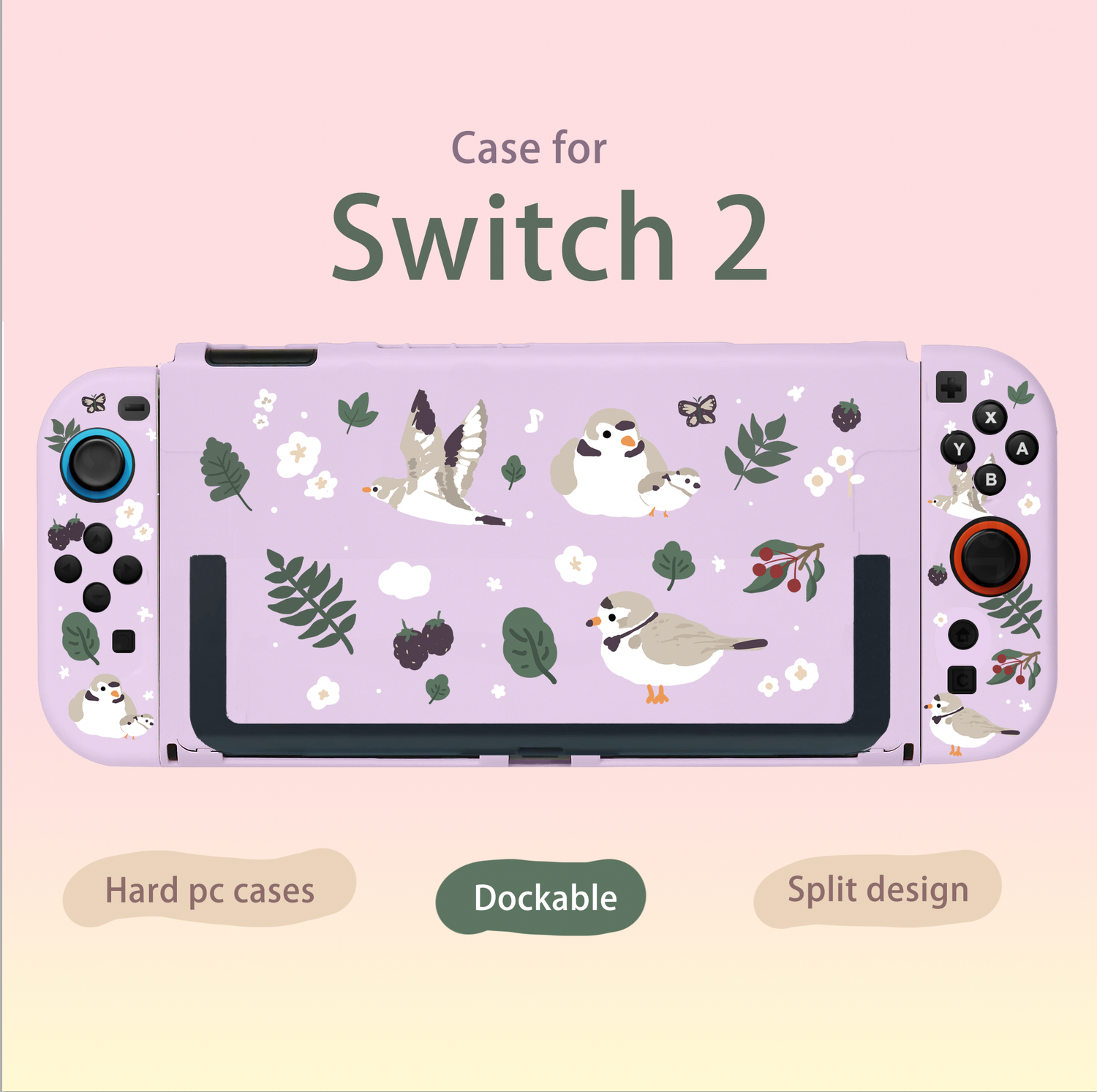 Switch 2 Cases