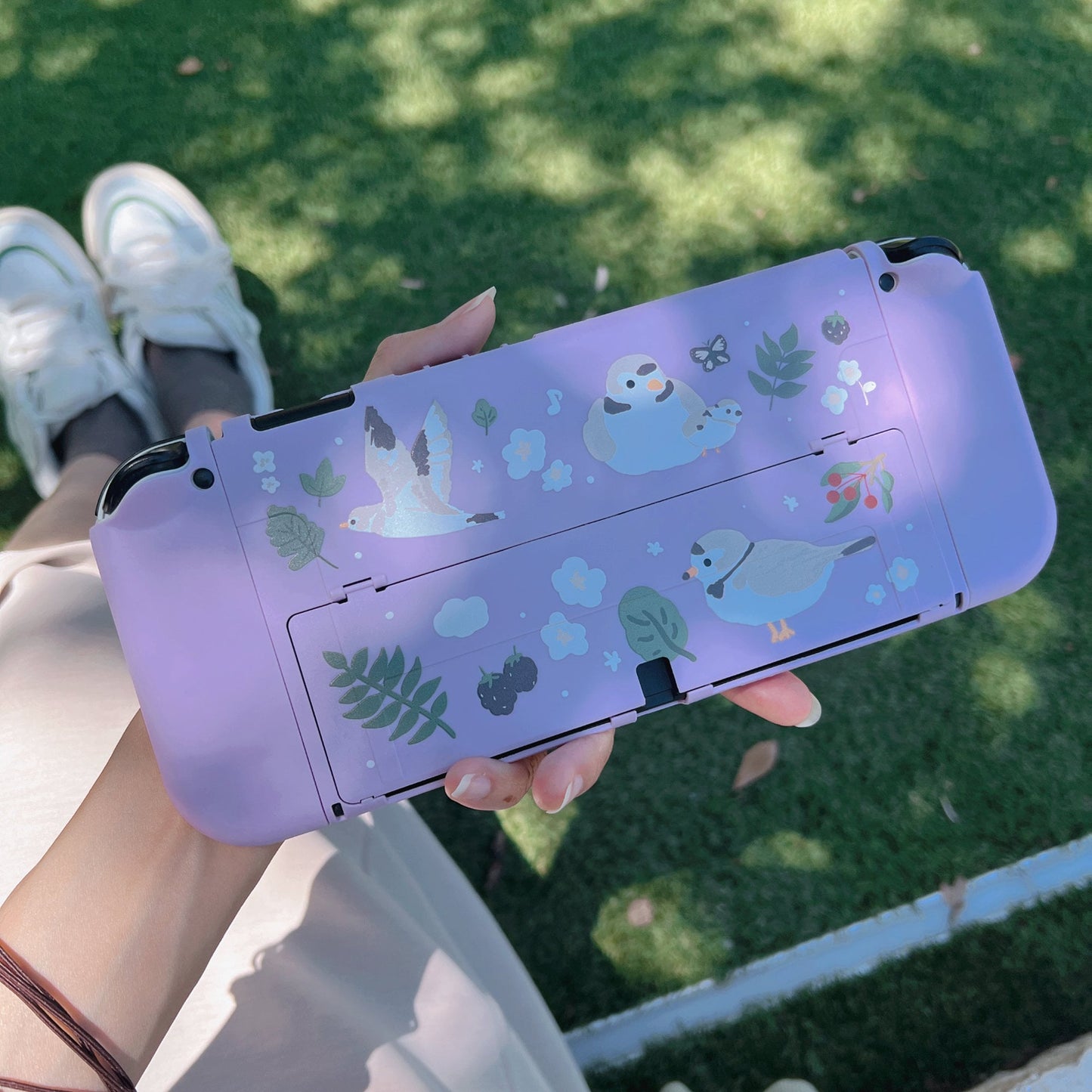 Piping Plover Bird Case for Nintendo Switch 2, Switch, Switch OLED and Lite