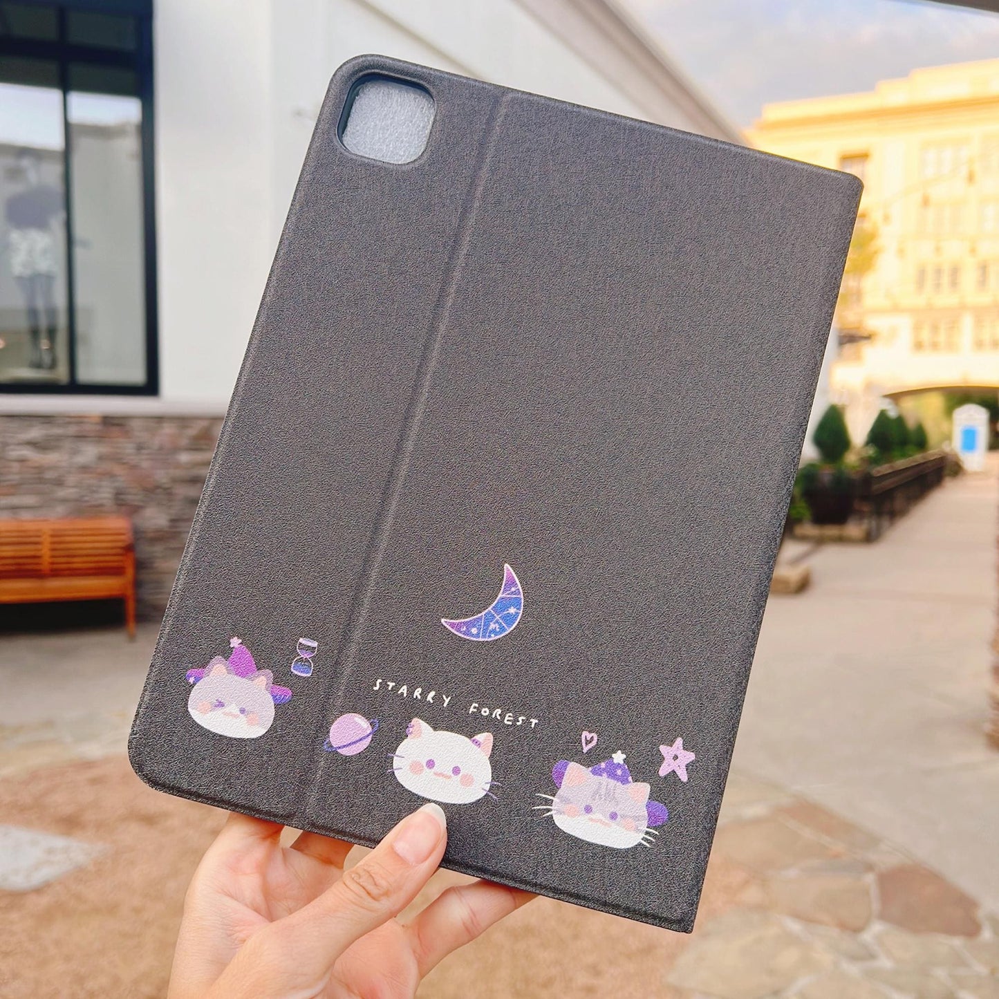 Cat Divination Case for iPad and Kindle