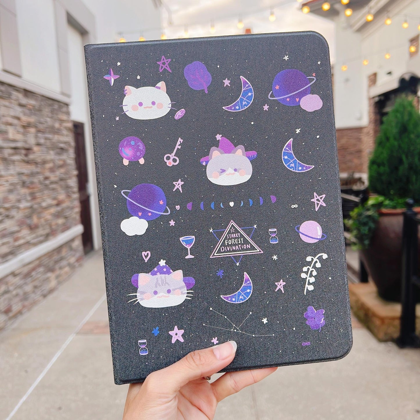 Cat Divination Case for iPad and Kindle