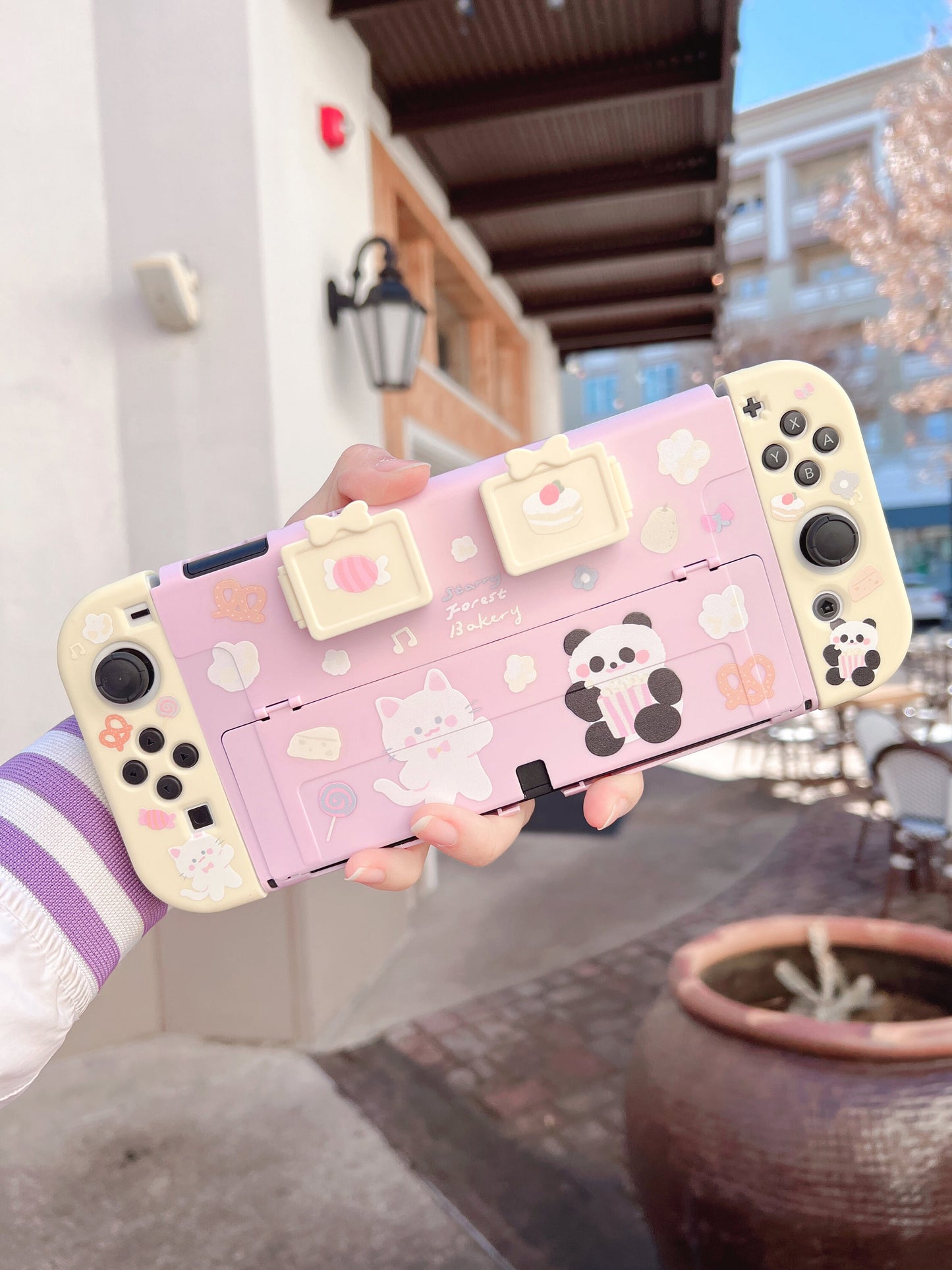 Cat panda cute Switch Oled case with game card storage boxes