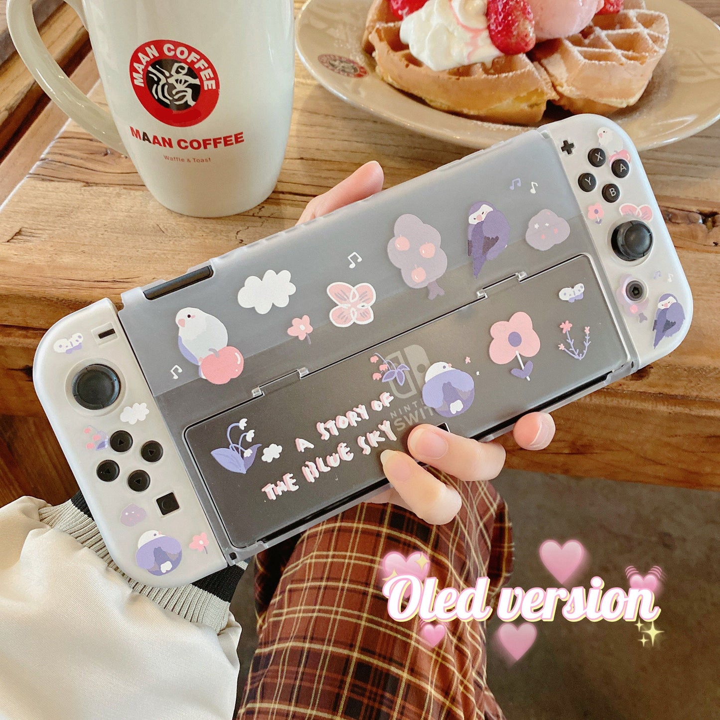 Birds Case for Nintendo Switch 2, Switch and Switch Oled