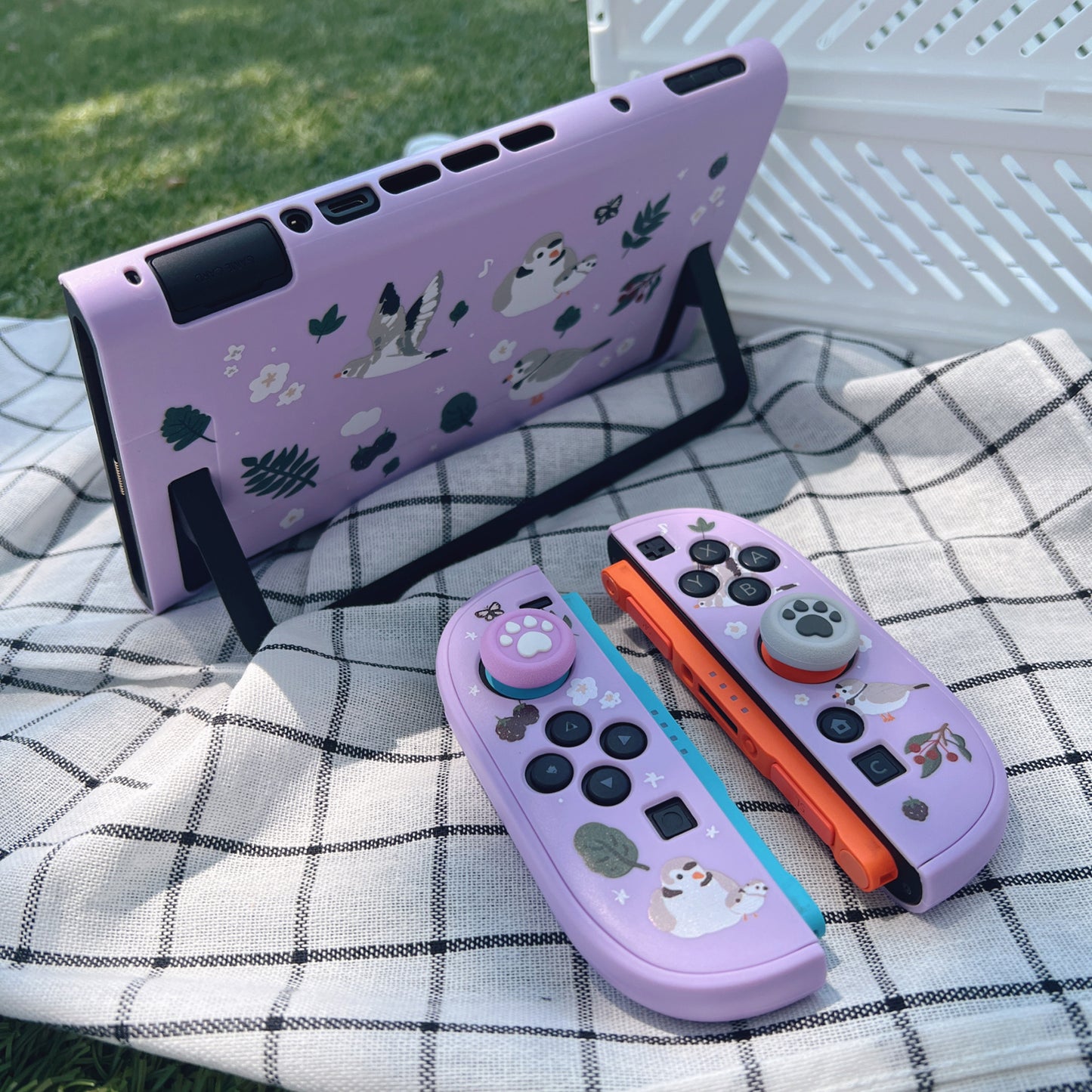 Piping Plover Bird Case for Nintendo Switch 2, Switch, Switch OLED and Lite