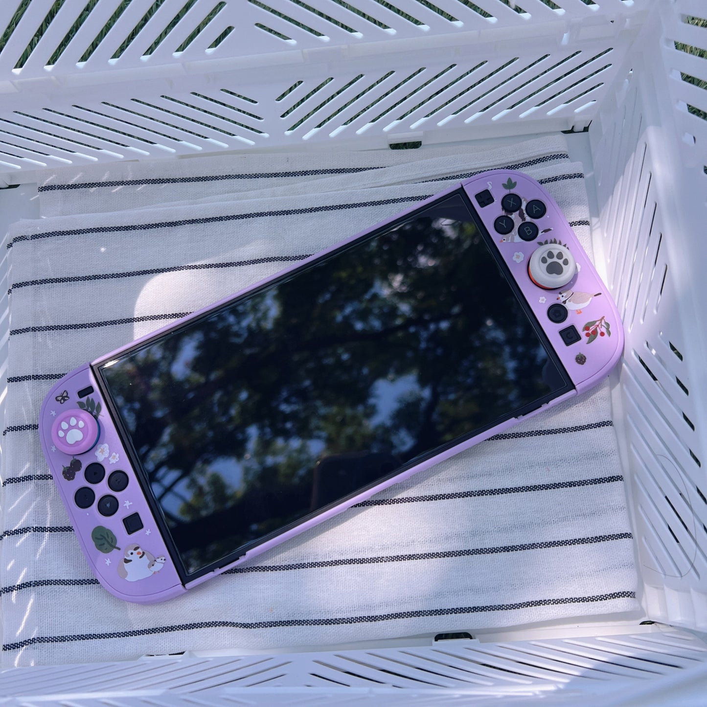 Piping Plover Bird Case for Nintendo Switch 2, Switch, Switch OLED and Lite