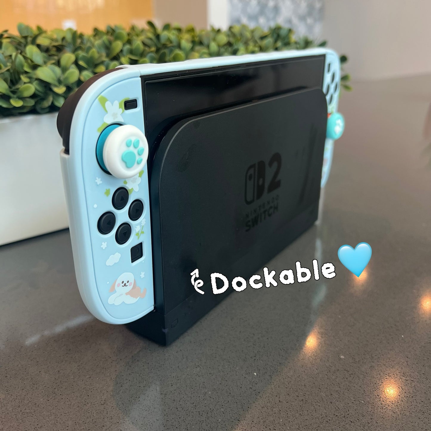 Schnauzer Maltipoo Case for Nintendo Switch2, Switch Oled and regular switch
