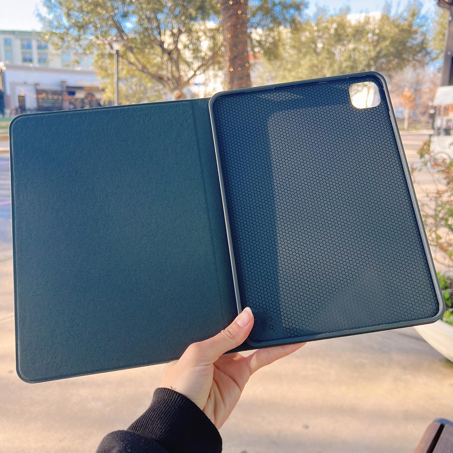 Hedgehog Squirrel Case for iPad and Kindle